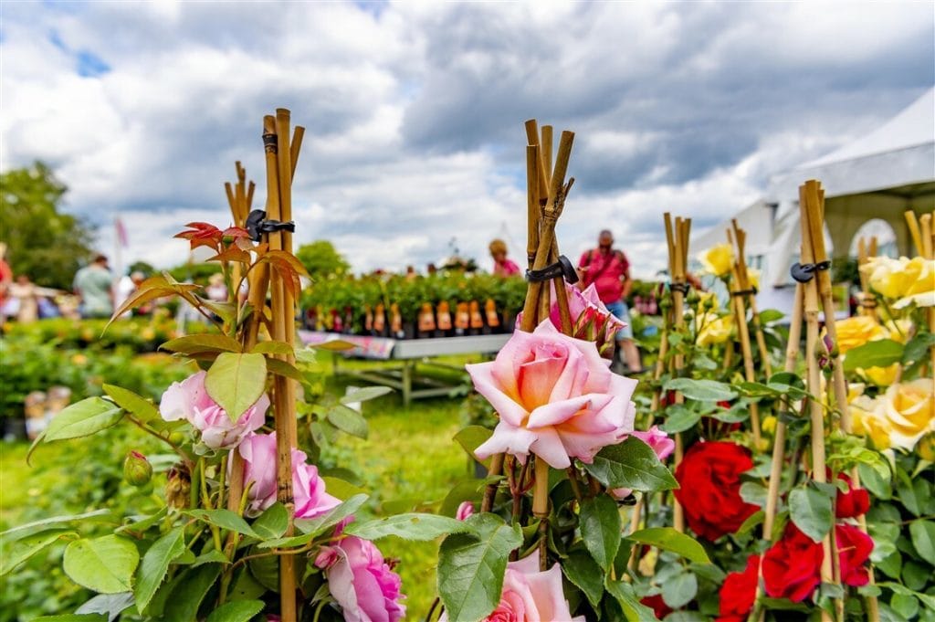 Lezersactie Farm & Country Fair Aalten