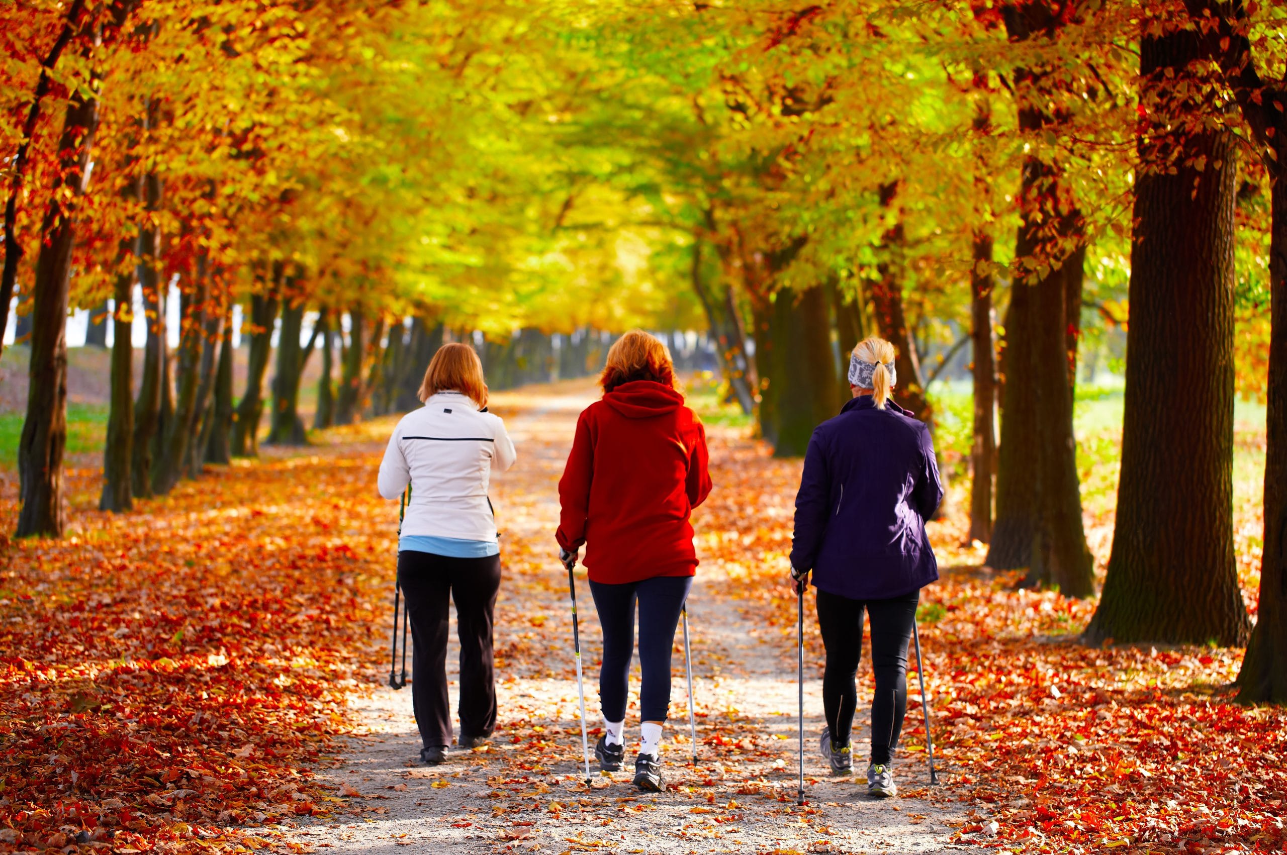Nordic Walking