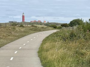 Texel