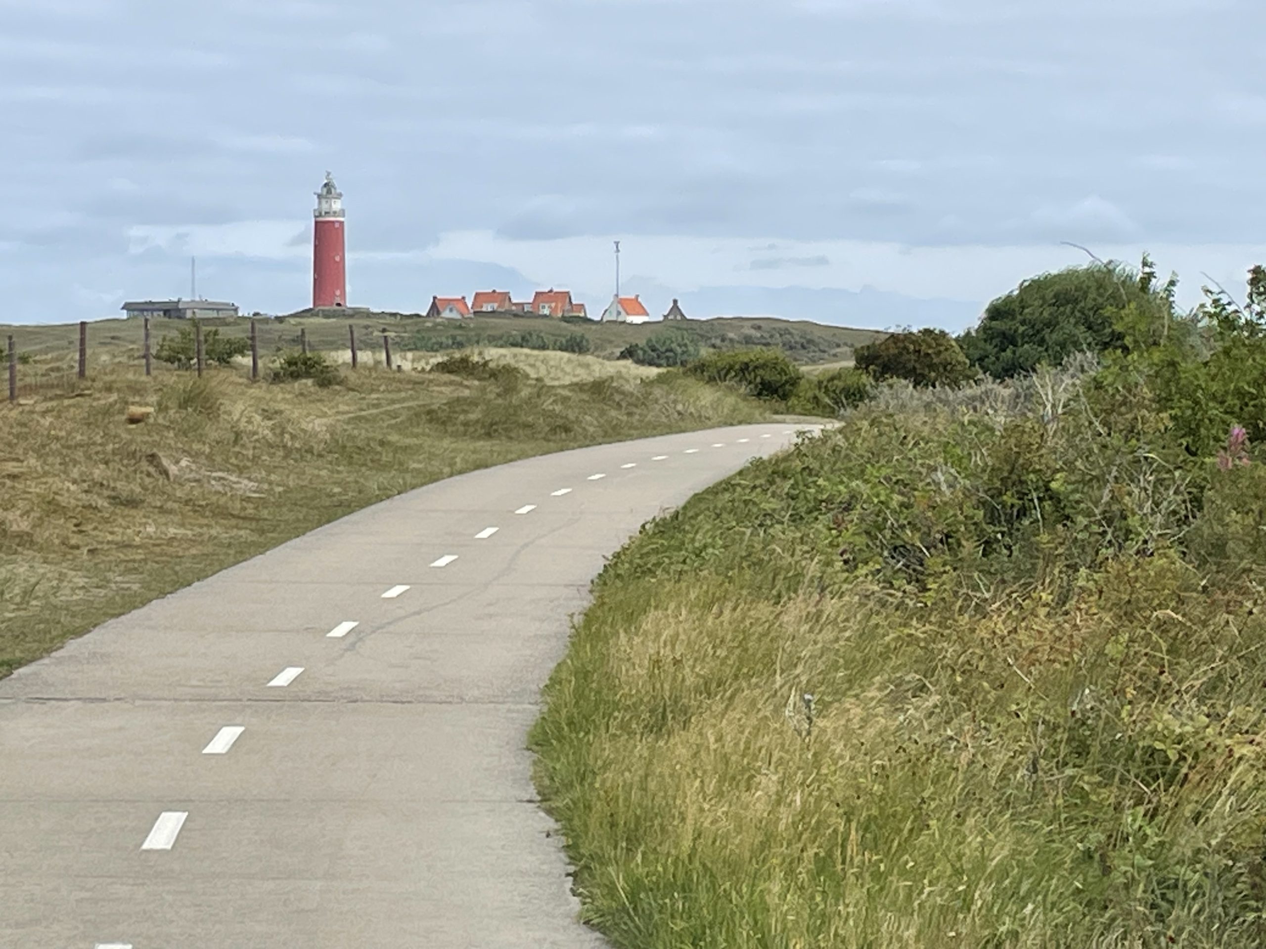 Texel