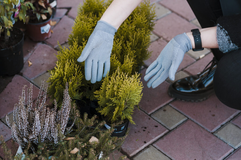 Ook in de winter genieten van de tuin
